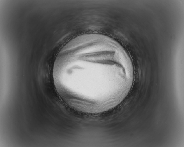 X0000086231158200704191753