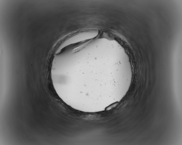 X0000086231160200704191753