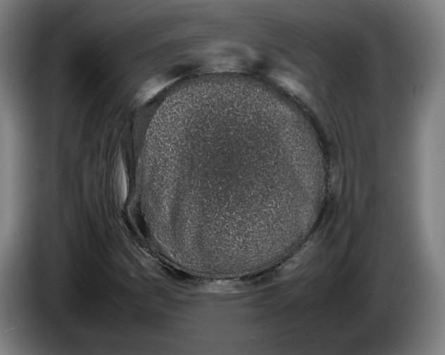 X0000086231161200704191753