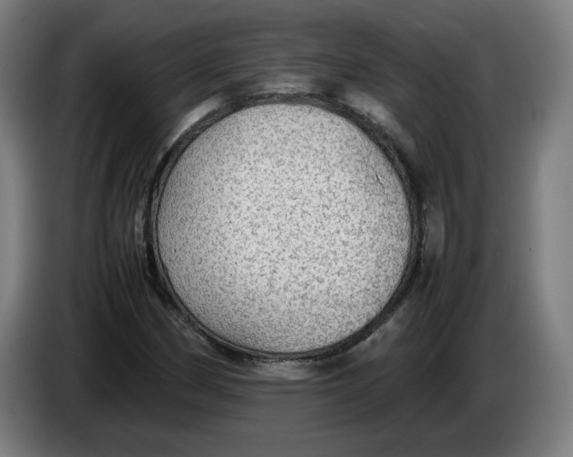 X0000086231162200704191753