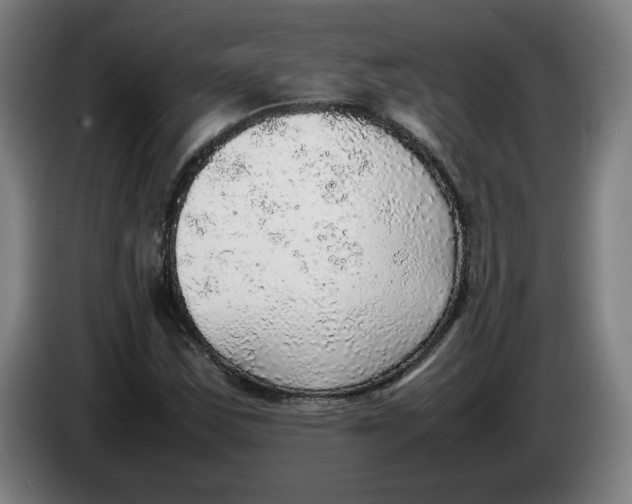 X0000086231163200704191753