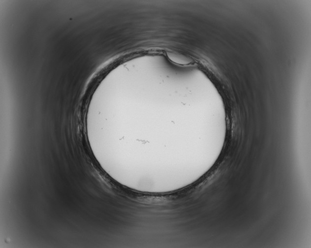 X0000086231164200704191753