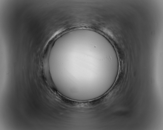 X0000086231165200704191753