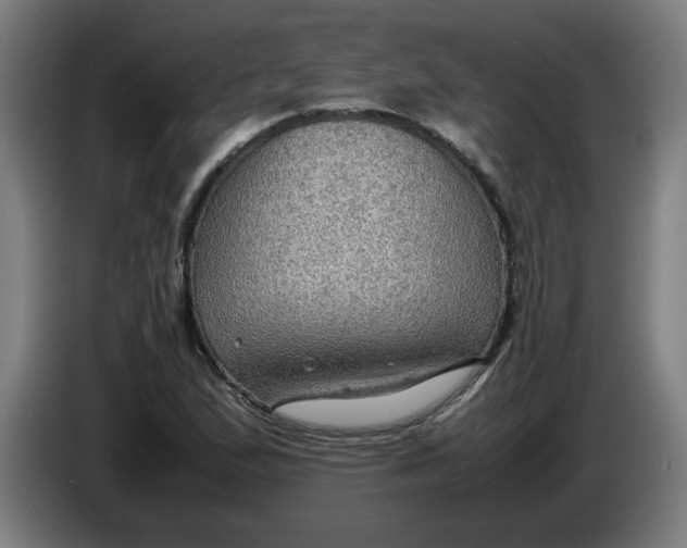 X0000086231167200704191753