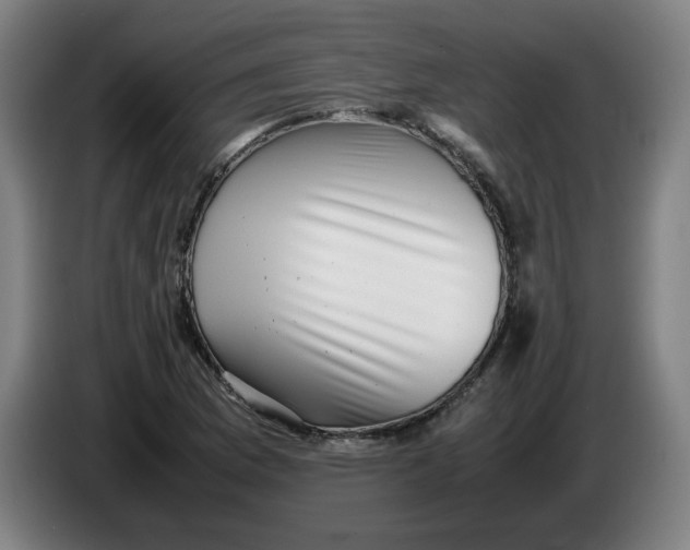 X0000086231169200704191753