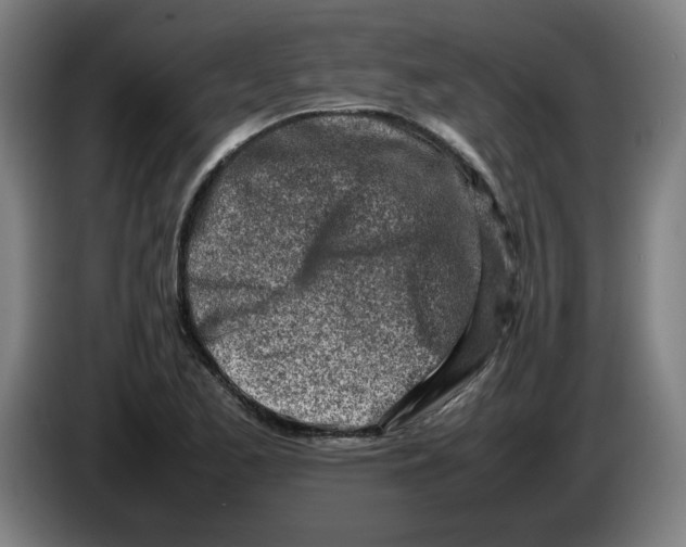 X0000086231173200704191753