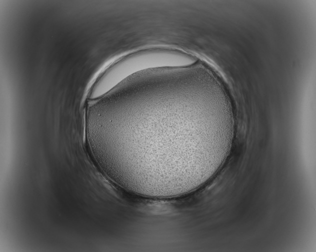 X0000086231175200704191753