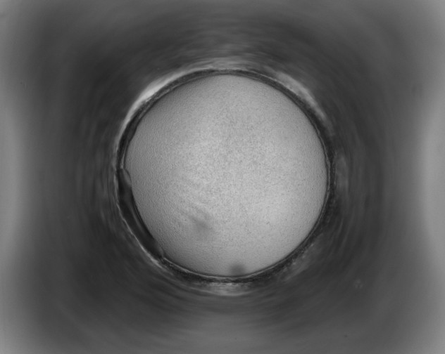 X0000086231176200704191753