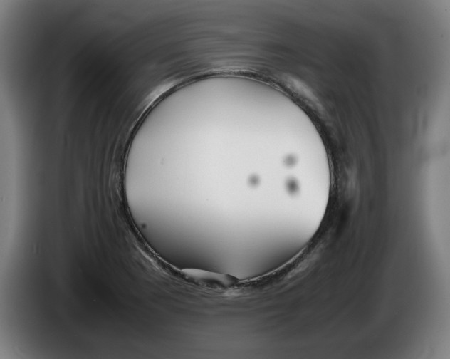 X0000086231177200704191753