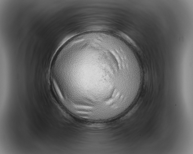 X0000086231178200704191753