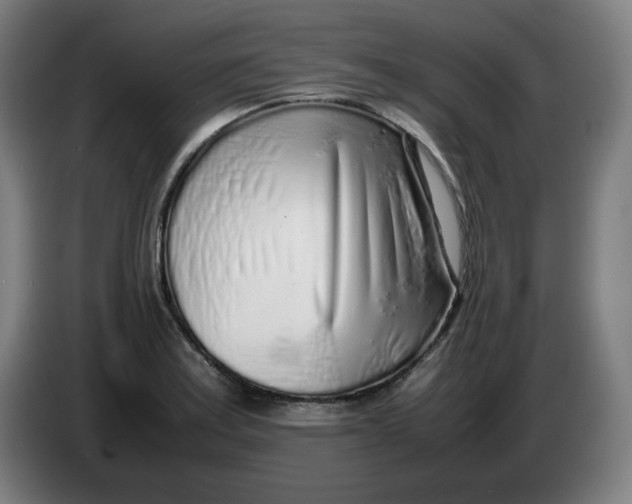 X0000086231179200704191753