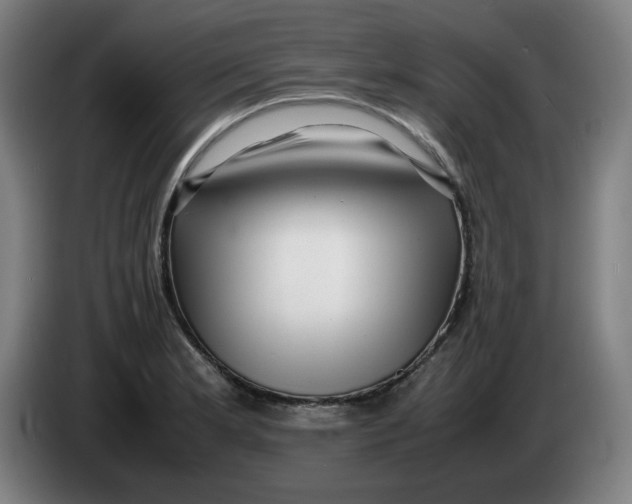 X0000086231181200704191753