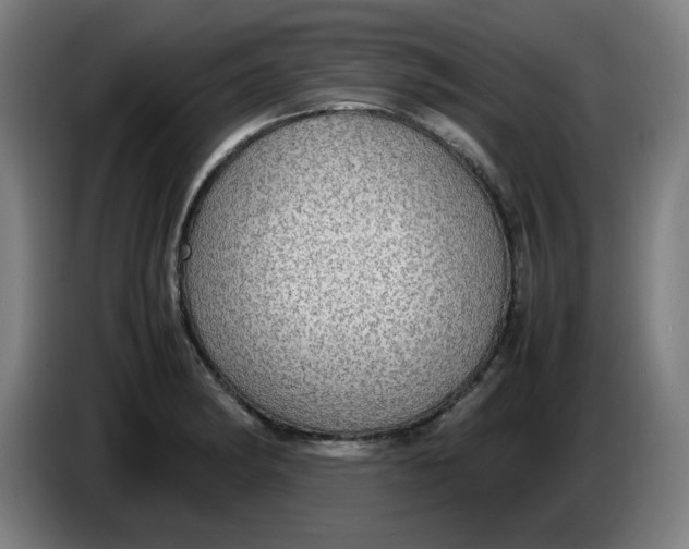 X0000086231182200704191753