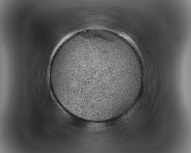 X0000086231183200704191753