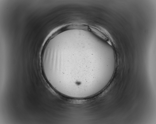 X0000086231184200704191753