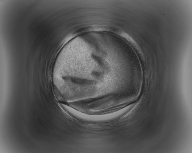 X0000086231185200704191753