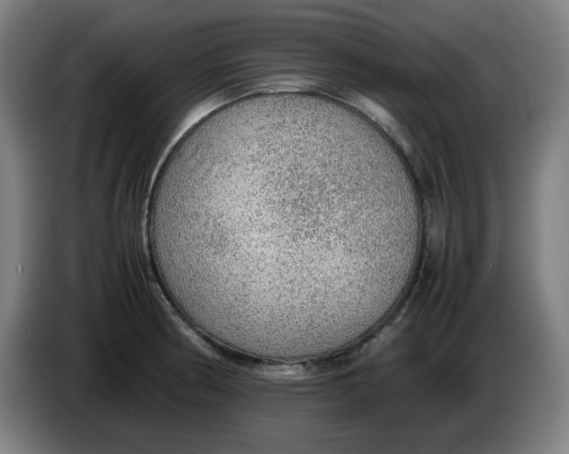 X0000086231186200704191753