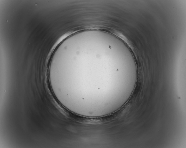 X0000086231187200704191753