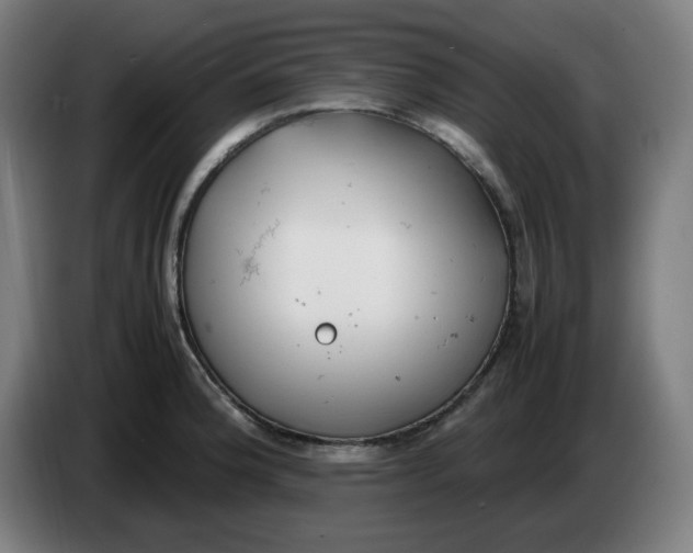 X0000086231188200704191753