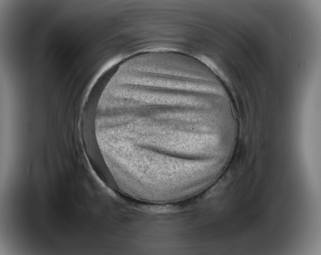 X0000086231189200704191753