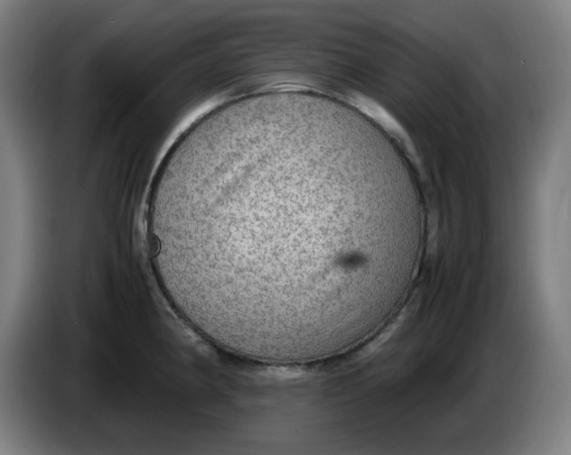 X0000086231190200704191753