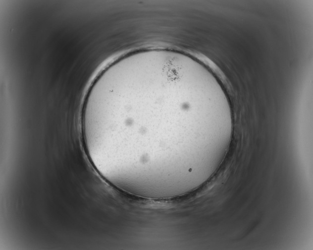 X0000086231191200704191753