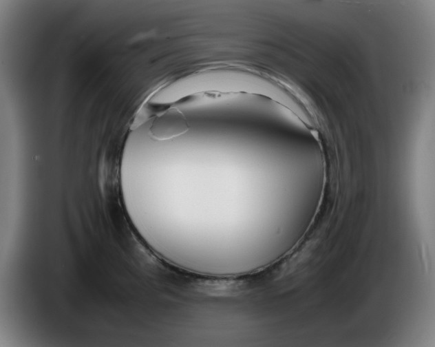 X0000086231193200704191753