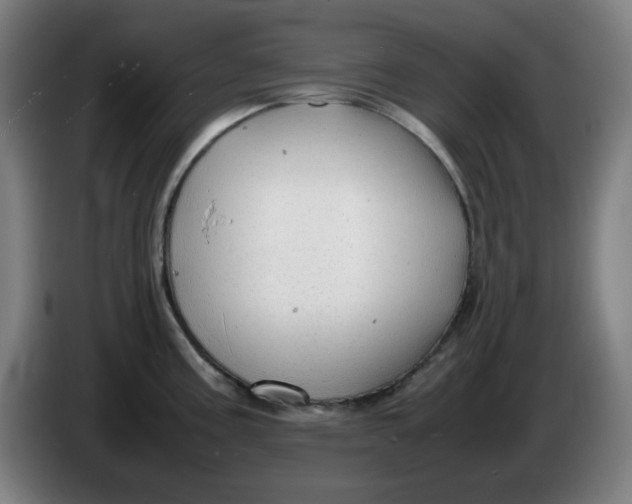 X0000086231195200704191753