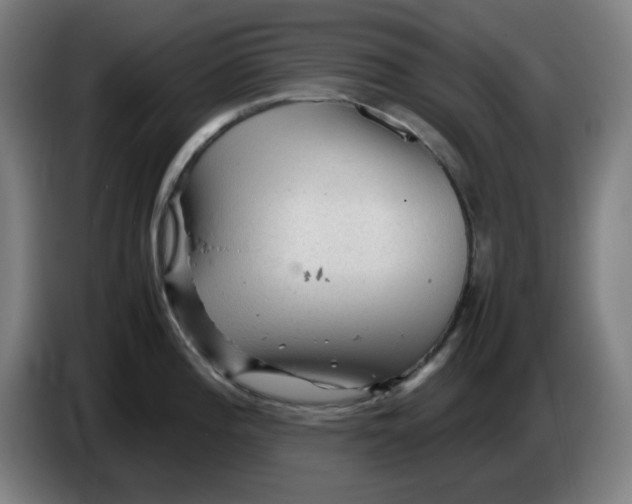 X0000086231196200704191753