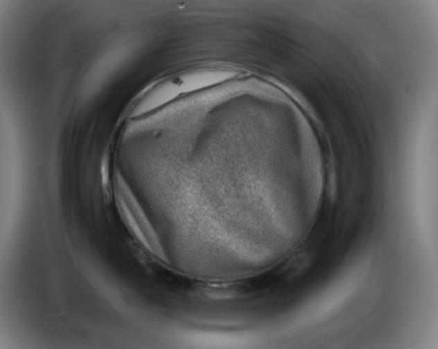 X0000086231198200704191753