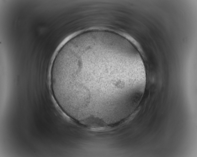 X0000086231199200704191753