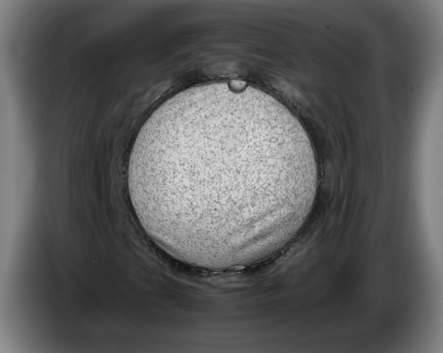 X0000086231201200704191752