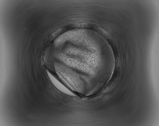 X0000086231202200704191752