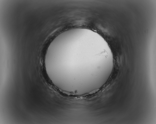 X0000086231206200704191752