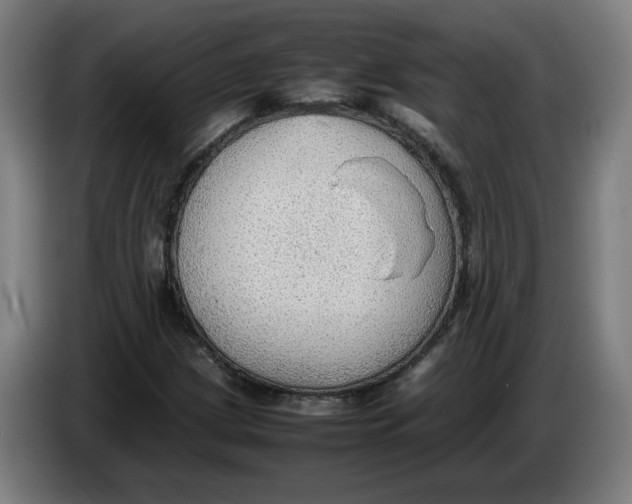 X0000086231209200704191752