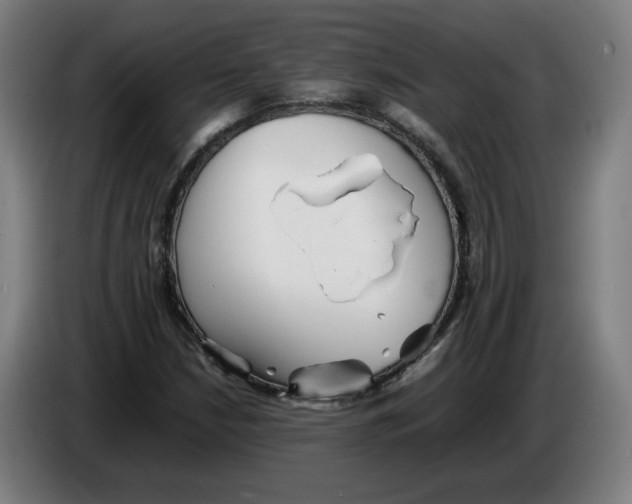 X0000086231210200704191752