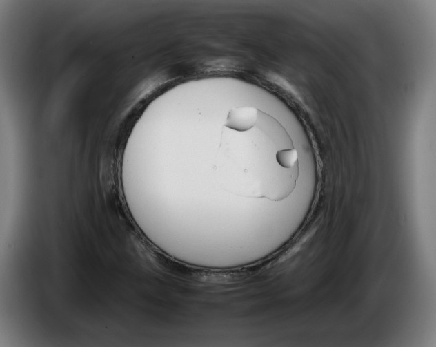 X0000086231211200704191752