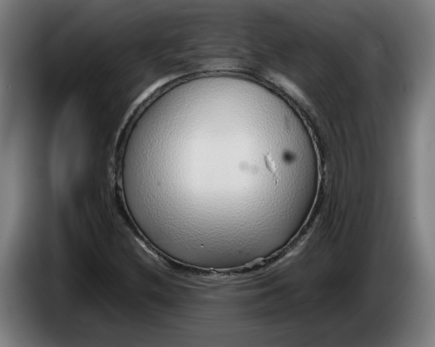 X0000086231212200704191752