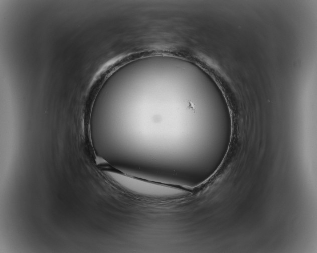 X0000086231214200704191752