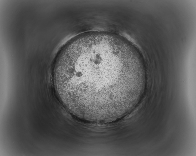 X0000086231215200704191752