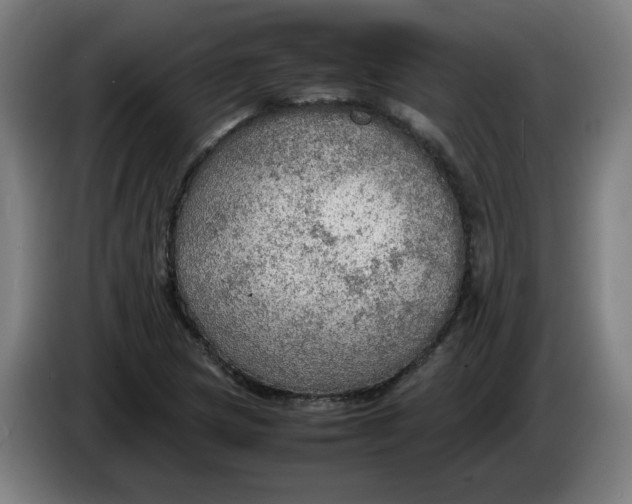 X0000086231217200704191752