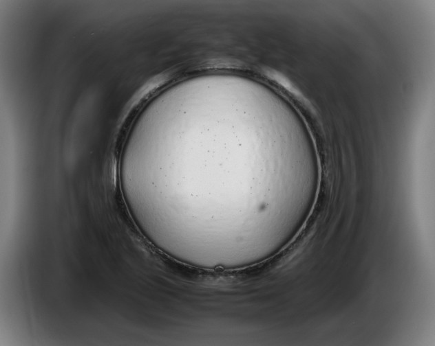 X0000086231221200704191752