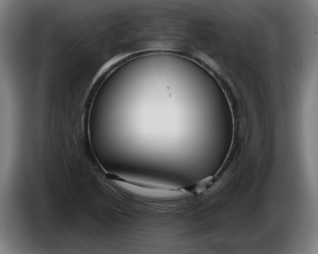 X0000086231222200704191752