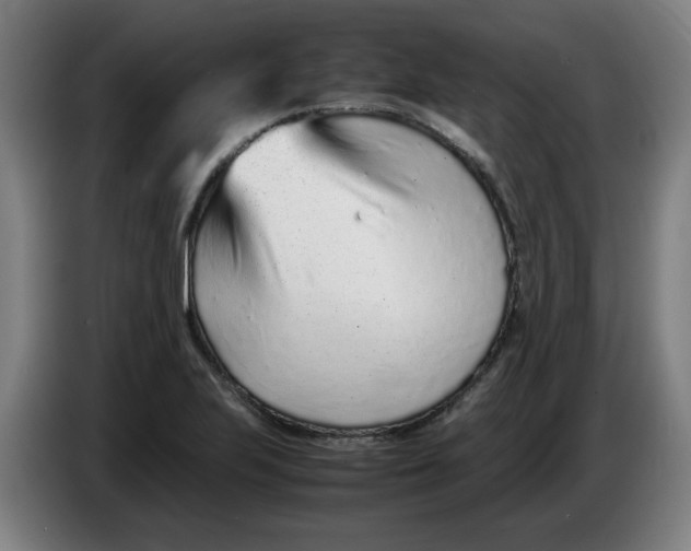 X0000086231223200704191752