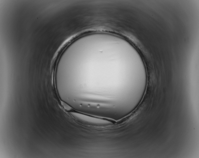 X0000086231224200704191752