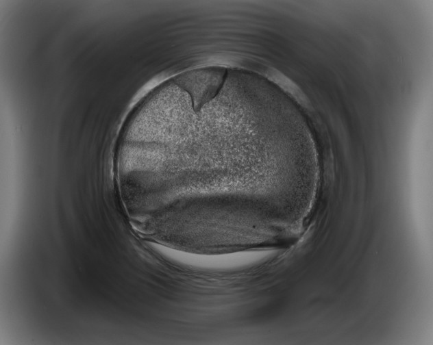 X0000086231226200704191752