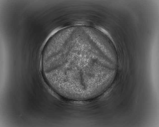 X0000086231227200704191752