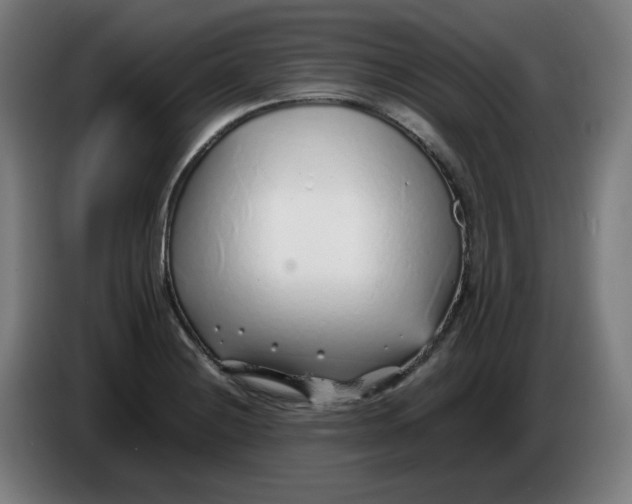 X0000086231228200704191752