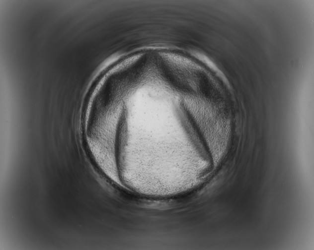 X0000086231229200704191752