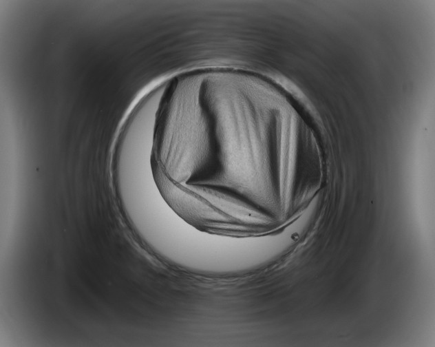 X0000086231230200704191752